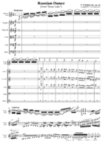 Russian Dance, op.20 (from "Swan Lake")